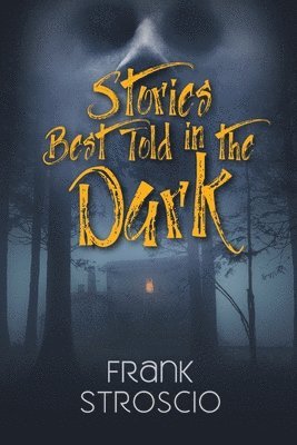 bokomslag Stories Best Told in the Dark