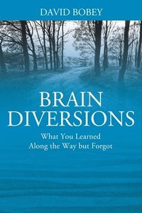 bokomslag Brain Diversions