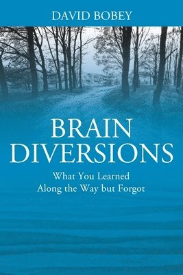 Brain Diversions 1