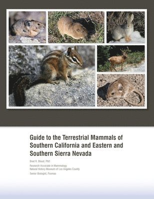 bokomslag Guide to the Terrestrial Mammals of Southern California and Eastern and Southern Sierra Nevada