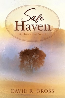 Safe Haven 1