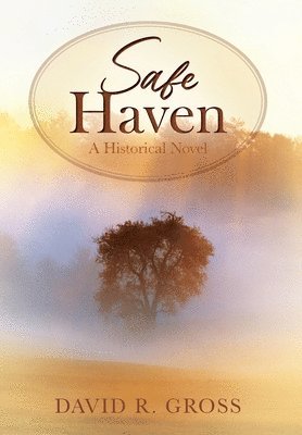 bokomslag Safe Haven