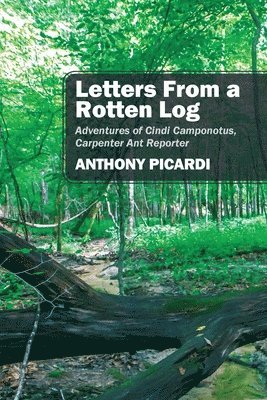 Letters From a Rotten Log 1