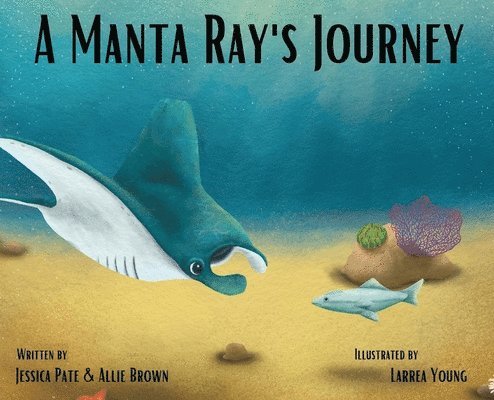 A Manta Ray's Journey 1