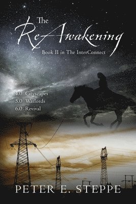 Peter E Steppe, Peter E. Steppe - ReAwakening, Häftad