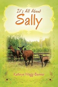 bokomslag It's All About Sally