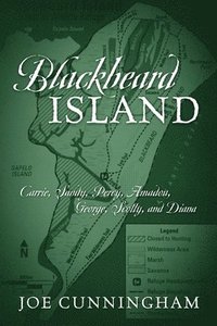 bokomslag Blackbeard Island