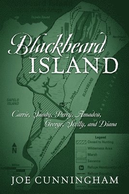 Joe Cunningham - Blackbeard Island, Häftad