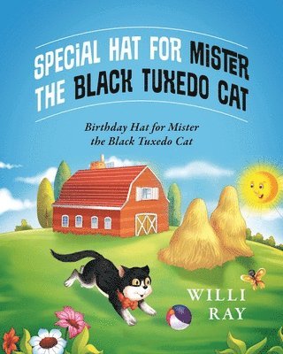 Special Hat for Mister the Black Tuxedo Cat 1