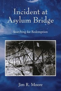 bokomslag Incident at Asylum Bridge