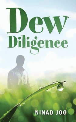 bokomslag Dew Diligence