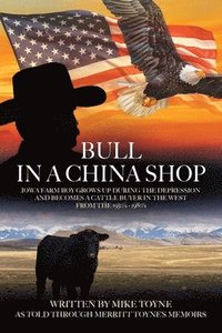 bokomslag Bull in a China Shop