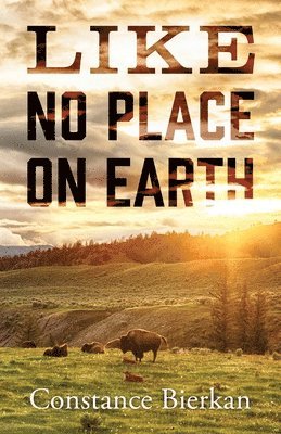 Constance Bierkan - Like No Place on Earth, Häftad