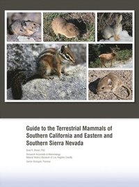 bokomslag Guide to the Terrestrial Mammals of Southern California and Eastern and Southern Sierra Nevada