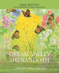 bokomslag Dream Valley Shenandoah