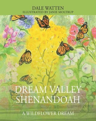 bokomslag Dream Valley Shenandoah