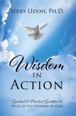 Jerry Udoh, Jerry Udoh PhD - Wisdom in Action, Inbunden