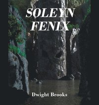 bokomslag Soleyn Fenix