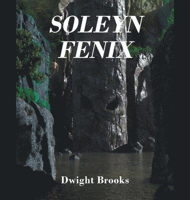 bokomslag Soleyn Fenix