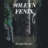 bokomslag Soleyn Fenix