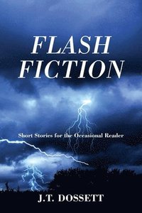 bokomslag Flash Fiction