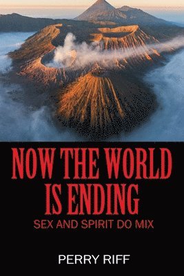 Perry Riff - Now the World is Ending, Häftad