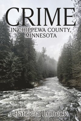 Crime in Chippewa County, Minnesota