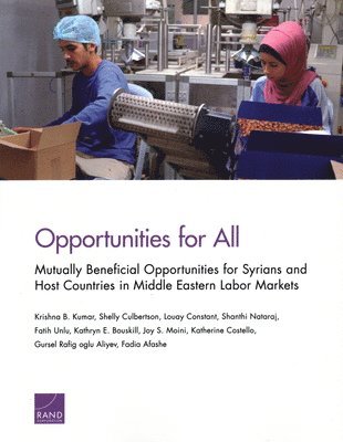 Krishna B Kumar, Shelly Culbertson, Louay Constant, Shanthi Nataraj, Faith Unlu, Kathryn E Bouskill, Joy S Moini, Katherine Costello, Gursel Rafig Oglu Aliyev, Fadia Afashe - Opportunities for All, Häftad