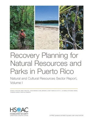 bokomslag Recovery Planning for Natural Resources and Parks in Puerto Rico