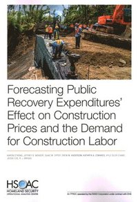 bokomslag Forecasting Public Recovery Expenditures' Effect on Construction Prices and the Demand for Construction Labor