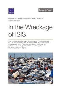 bokomslag In the Wreckage of ISIS