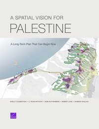bokomslag A Spatial Vision for Palestine