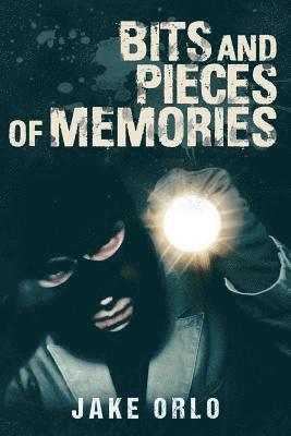 Bits and Pieces of Memories 1