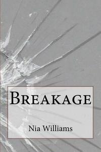 bokomslag Breakage