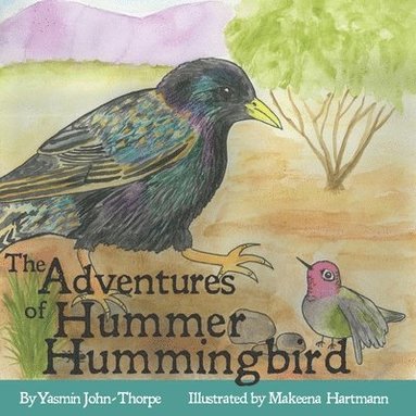 bokomslag Adventures of Hummer Hummingbird