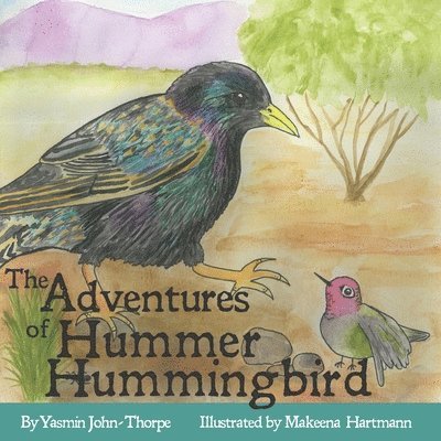 Yasmin John-Thorpe - Adventures of Hummer Hummingbird, Häftad