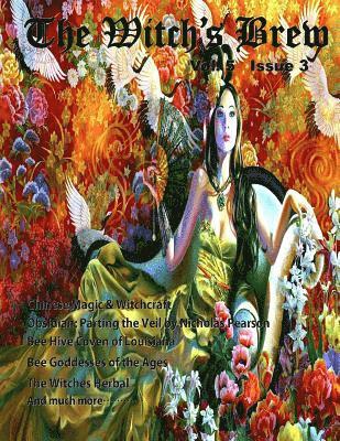 Circle of Ancient Sisters, Melissa E. Anderson - Witch's Brew, Vol 5 Issue 3, Häftad