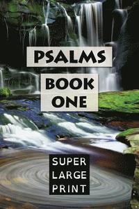 bokomslag Psalms: Book One