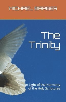 bokomslag The Trinity - In Light of the Harmony of the Holy Scriptures