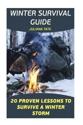 bokomslag Winter Survival Guide: 20 Proven Lessons To Survive A Winter Storm