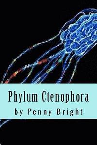 bokomslag Phylum Ctenophora
