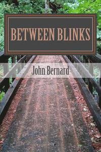 bokomslag between blinks