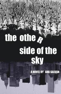 bokomslag The Other Side of the Sky