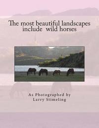 bokomslag The most beautiful landscapes include wild horses