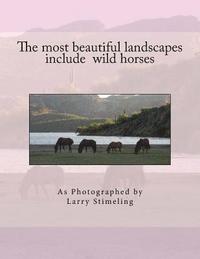 bokomslag The most beautiful landscapes include wild horses