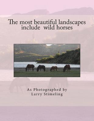 The most beautiful landscapes include wild horses 1