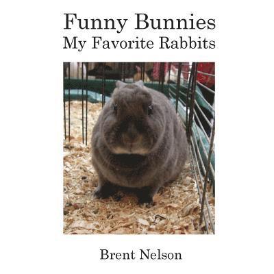 Brent Nelson - Funny Bunnies: My Favorite Rabbits, Häftad