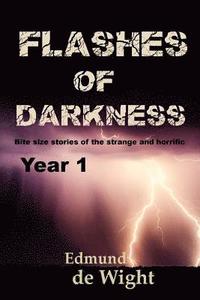 bokomslag Flashes of Darknes - Year 1: Bite size stories of the strange and horrific