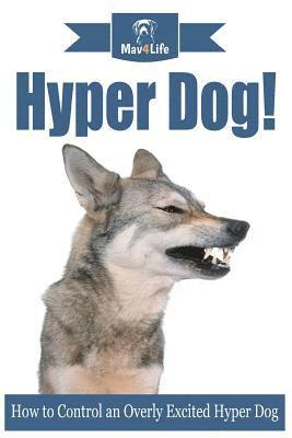 bokomslag Hyper Dog!