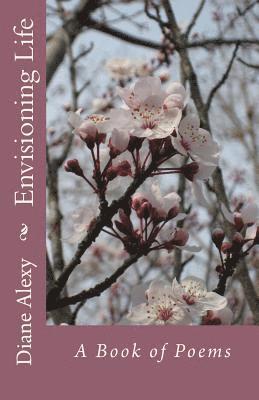 Envisioning Life: A Book of Poems 1